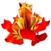Day of Victory 12