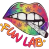 FunLab have fun 6