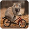 Autumn Manul 15