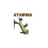 больше стикеров тYт: 14