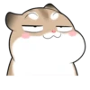 Pudding Hamster 17