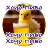Crazy Chicken! 19