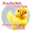 Crazy Chicken! 20