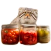 Autumn Manul 18