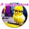 Crazy Chicken! 21
