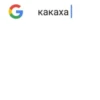 🐸 14