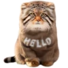 Autumn Manul 19