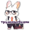 НейроЗайки 19
