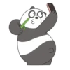 Panda LizF 19