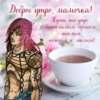 Jojososat 19