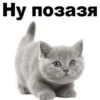 Milashka 11