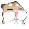 Pudding Hamster 24