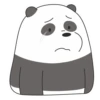 Panda LizF 20