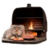Autumn Manul 20