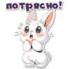 НейроЗайки 23