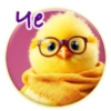 Crazy Chicken! 23
