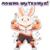 НейроЗайки 26