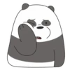 Panda LizF 23