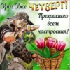 Jojososat 22