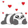Panda LizF 24