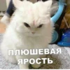 Стикеры ➜ 11