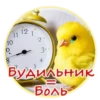 Crazy Chicken! 26