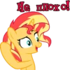I'm Sunset Shimmer 25