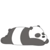 Panda LizF 27
