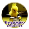 Crazy Chicken! 28