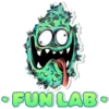 FunLab have fun 13