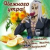Jojososat 29