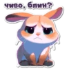 НейроЗайки 29
