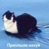 Ещё более ебанYтые stickers by 8