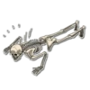 Skeleton Bob / By OsmerOmar 7