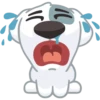 Dog 7