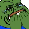 pepefrog 13