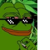 pepefrog 14
