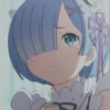 Rem 8