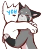 The Gray Panda 9