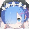 Rem 10