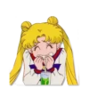 SailorMoon 8