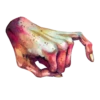 Hands 6