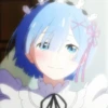 Rem 12