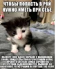 дед насвай 14