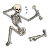 Skeleton Bob / By OsmerOmar 14