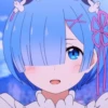 Rem 13