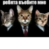 Memes 12
