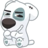 Dog 14
