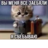 IfWxLtX_by_achestickbot 19