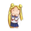SailorMoon 14